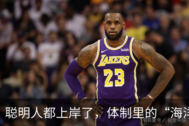 聪明人都上岸了，体制里的“海洋”到底有什么魔力？